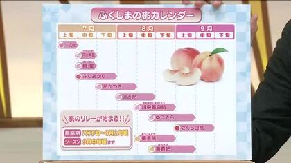 福島県に桃の季節到来！出荷リレーで9月中旬まで様々な品種が楽しめる　キャンペーンクルーも全国にPR