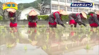 「お米がとれますように」「災害無く大きく育って」鵜戸神宮で御田植祭