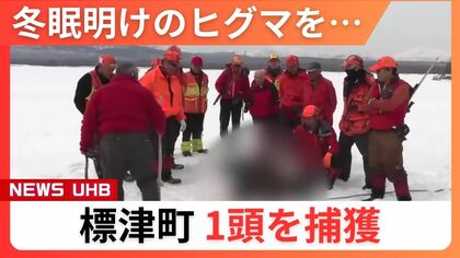 【標津町】冬眠明けのヒグマを捕獲“春期管理捕獲”で市街地への出没未然に防ぐ「若い人にも経験してもらい体制整備を図れれば」技術の伝承も〈北海道〉