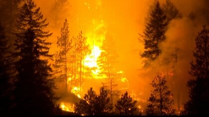 カナダ西部で大規模山火事　非常事態宣言発令、1.8万人が避難