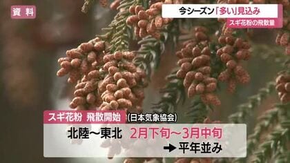 2026年春のスギ花粉の飛散量は？　日本気象協会が「飛散予測」　山形