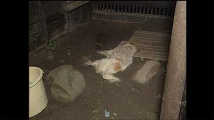 死刑執行でも事件は終わらない～松本サリン事件取材を振り返る～