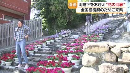 全国植樹祭で天皇皇后両陛下お迎えへ　松山の神社石段に花回廊　地元の有志が企画【愛媛】