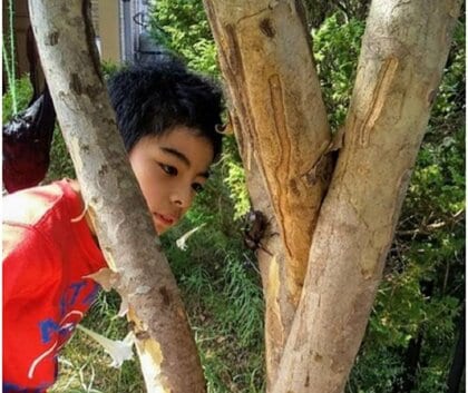 小6男子が“カブトムシは夜行性”の常識覆す発見! 共同研究者も驚く「緻密なデータ」…本人に聞いた