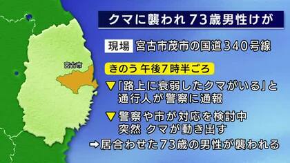 「路上に衰弱したクマ」突然動き出し男性襲われけが　クマは山に逃げる　岩手県宮古市