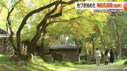 3日間限定の特別公開　国の名勝「梅田氏庭園」　色づく木々とコケの緑が織りなす悠久の美　11月9日まで　福井・池田町