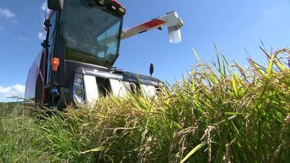 【備蓄米買い戻し－新米価格への影響は】コメ不足から一転2026年は供給過多の見通し＿新米価格の下支え狙い政府が９月に備蓄米を買い戻す方針が浮上…北海道で新米の収穫が始まり農家も消費者も価格の動向を注視