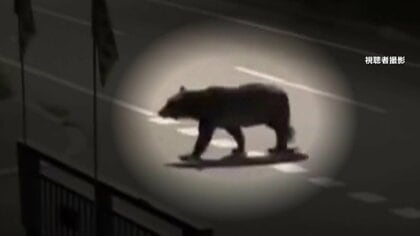 【警戒】「もう1頭いる」「あちこちで声聞こえている」ハンターがヒグマ1頭駆除…道路横切る姿カメラに　死亡した配達員男性襲った熊と断定できず住民不安　北海道・福島町