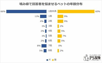 ペットの噛み癖に関するアンケート 獣医師が解説 ペット保険 Ps保険 調べ