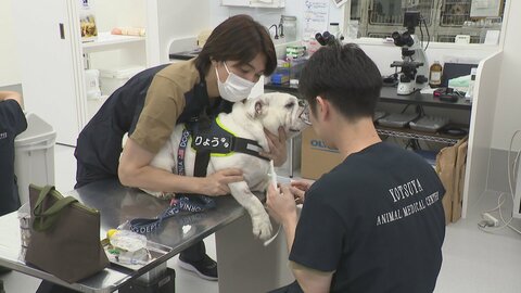診察室8部屋、MRI・CT完備の動物総合病院が富山県高岡市にリニューアルオープン　1日100～150匹が診療に訪れる人気病院となった理由