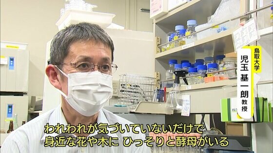 オリーブのパン 桜のビールも 地域ゆかりの植物から抽出した ローカル酵母 で新商品 鳥取大学と企業がタッグ