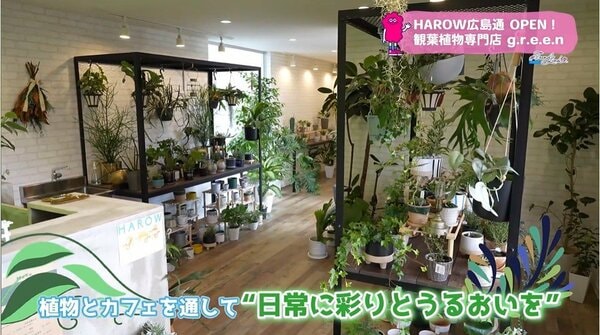 日常に彩りとうるおいを”植物とカフェを同時に楽しめる こだわり溢れた