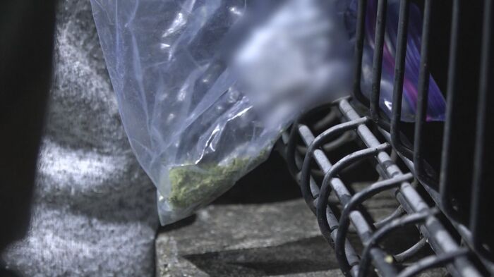 男が所持していた“植物片”