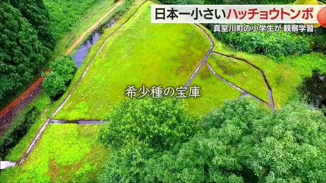 湧き水が野草を育み、多様な生き物たちが生息する「中村湿原」