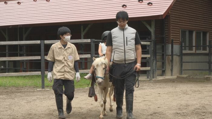 ポニーの乗馬体験(盛岡市動物公園ZOOM)