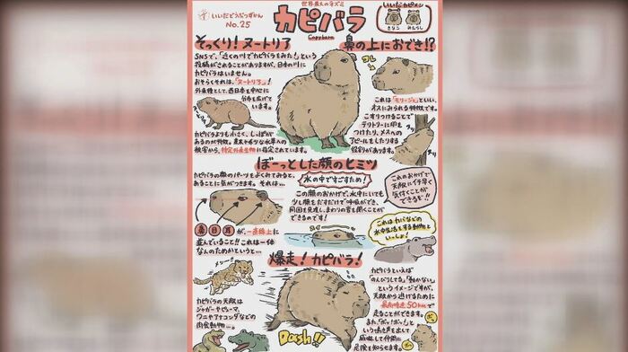 完成した「カピバラ」のイラスト