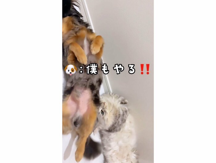 提供:チワックスの諭吉くん。さん