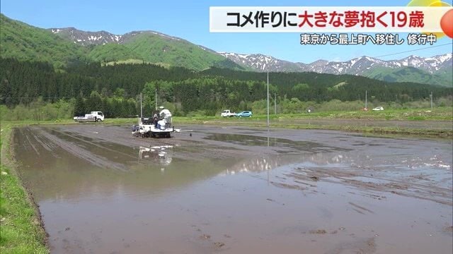 農業は、農家の高齢化・担い手不足・米価の高騰などさまざまな課題に直面している