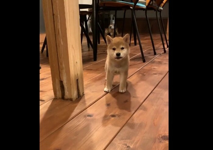 突然の真顔