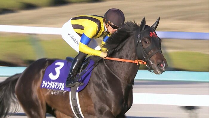 2023年最優秀2歳牡馬に輝いたジャンタルマンタル