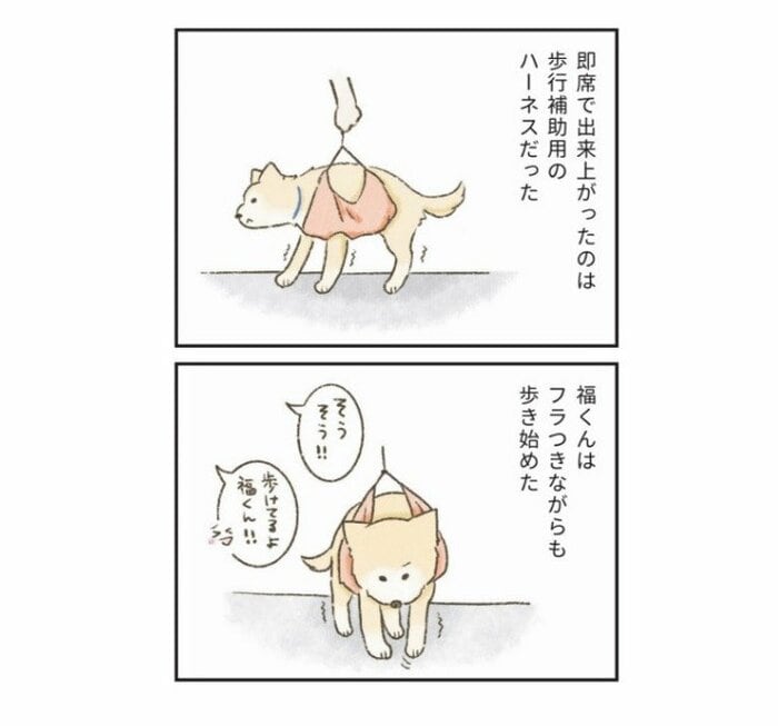 『たまさんちのホゴイヌ2』(世界文化社)より
