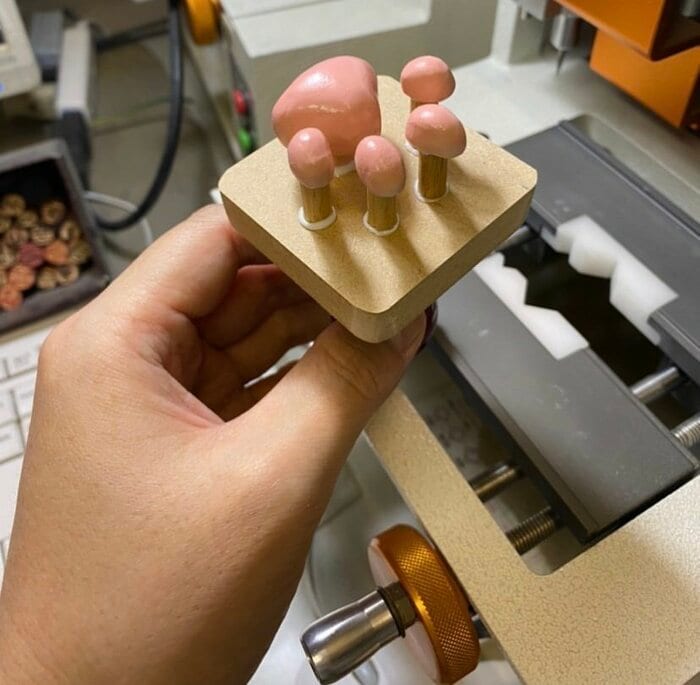肉球スタンプ