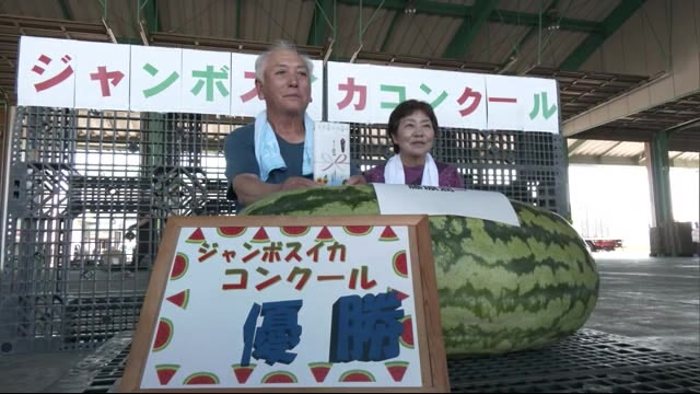おいしさではなく重さ競う ジャンボスイカが勢ぞろい 秋田・横手市
