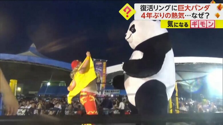 亡き代表の思い受け…“新根室プロレス”が4年ぶりに復活　巨大なパンダレスラーも登場した“復活興行”に大歓声｜FNNプライムオンライン