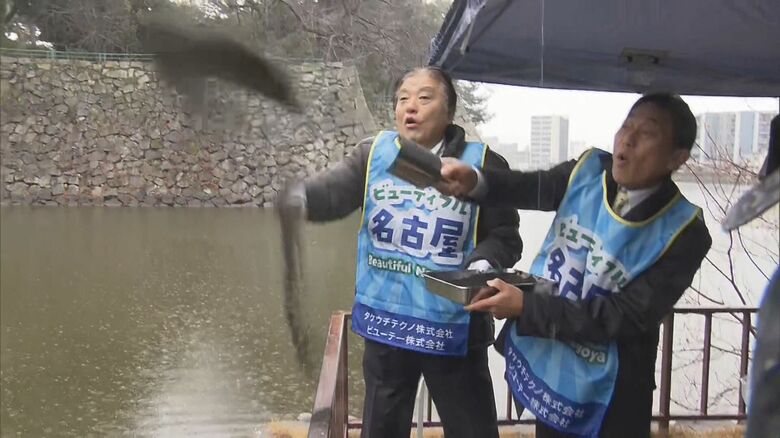 名古屋城の水堀で「水質浄化作戦」始まる　ヘドロ分解のため水質浄化剤投入｜FNNプライムオンライン
