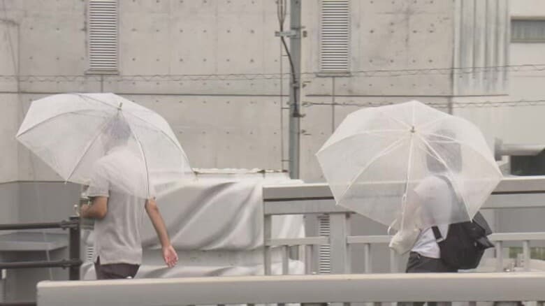 大雨や強風の天気の中…一畑電車の線路付近で倒木　列車の運転一時見合わせ　約1時間後に再開（島根）｜FNNプライムオンライン