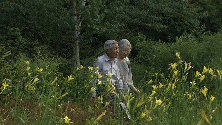ユウスゲをご覧になる上皇ご夫妻(2013年7月 皇居)