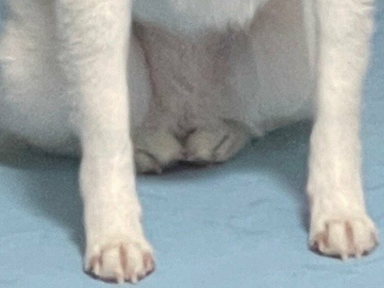 足元をアップにするとこんな感じ