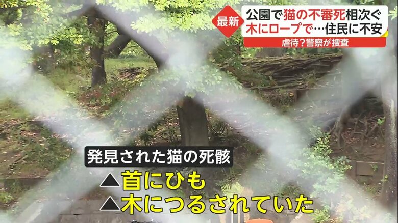 東京大田区「平和の森公園」で猫の不審死… 虐待?警察が捜査|FNNプライムオンライン