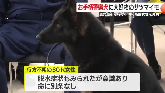 2023年10月のデビュー以来、実に8度目の表彰