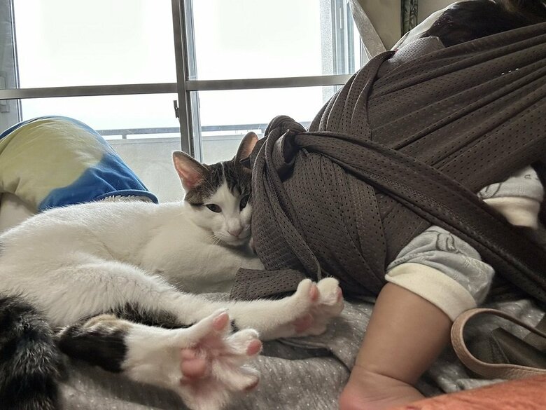 母親が抱く息子さんに寄り添うベンツちゃん