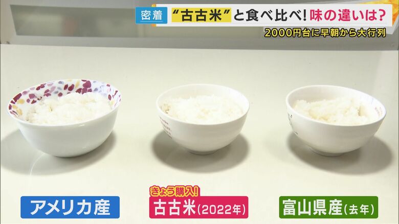 3種類の米を食べ比べ