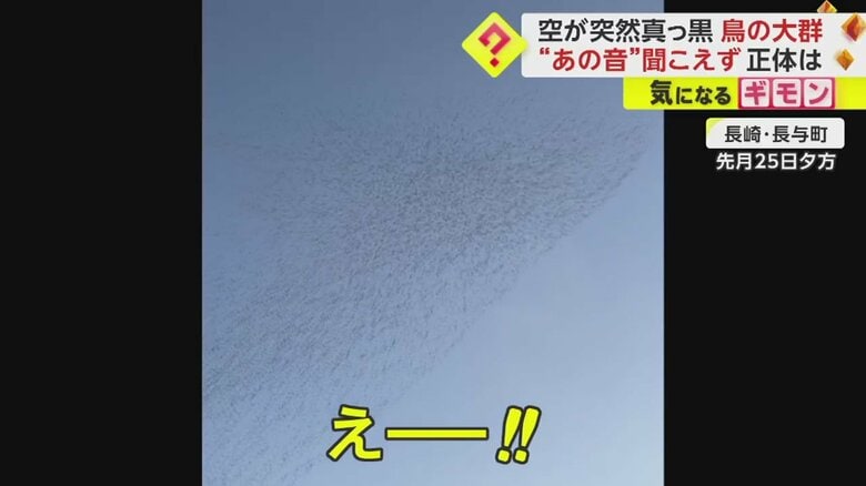 撮影していたテレビ長崎のスタッフも思わず叫ぶ