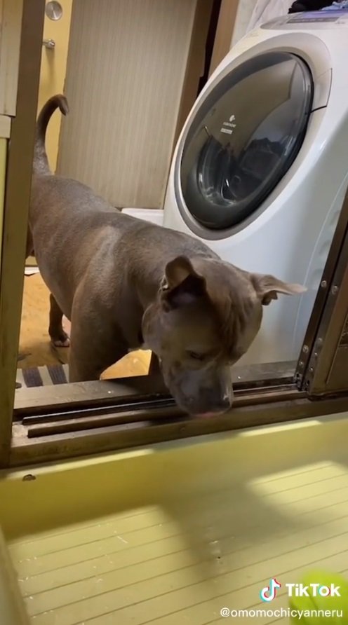 パッと口から落として…