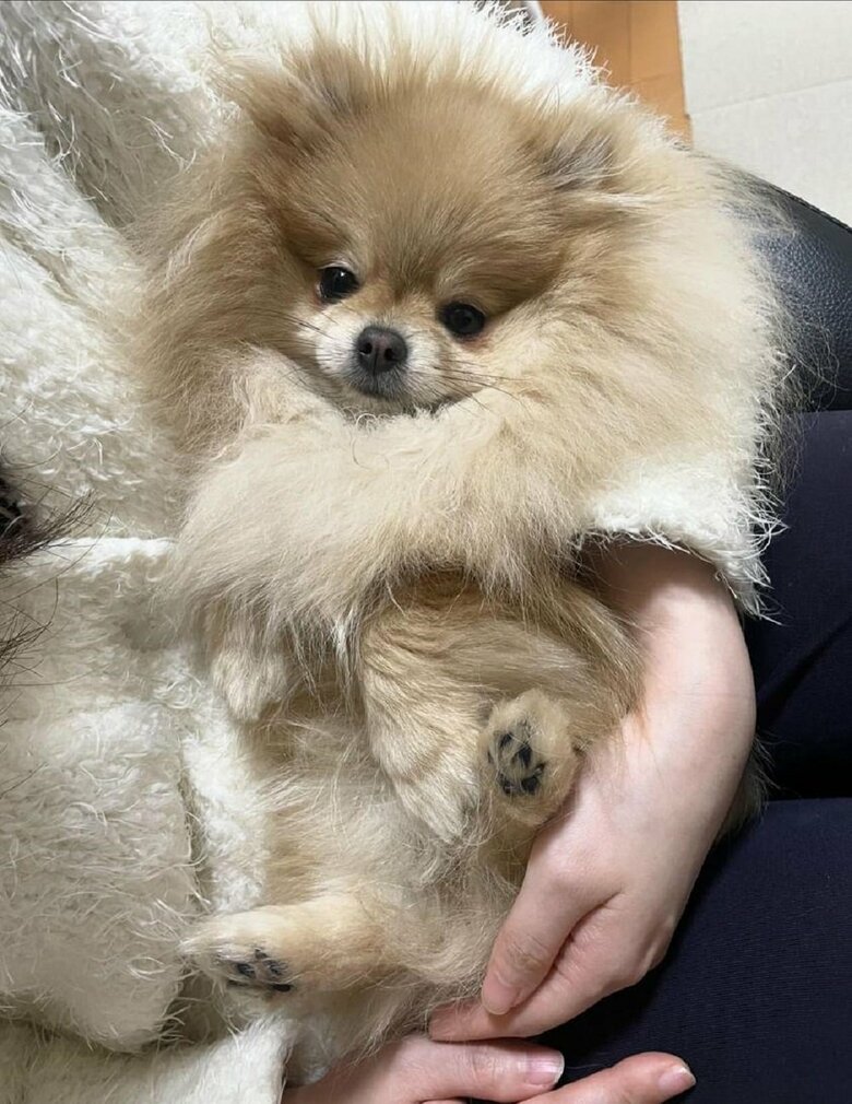 赤ちゃんのように抱っこされている