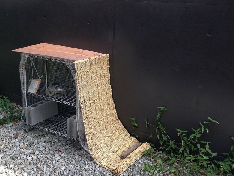 実験の様子（画像提供：摂南大学理工学部生命科学科　向井歩特任助教）