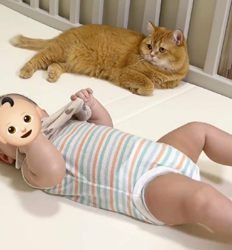 息子さんを見守るこまるくん