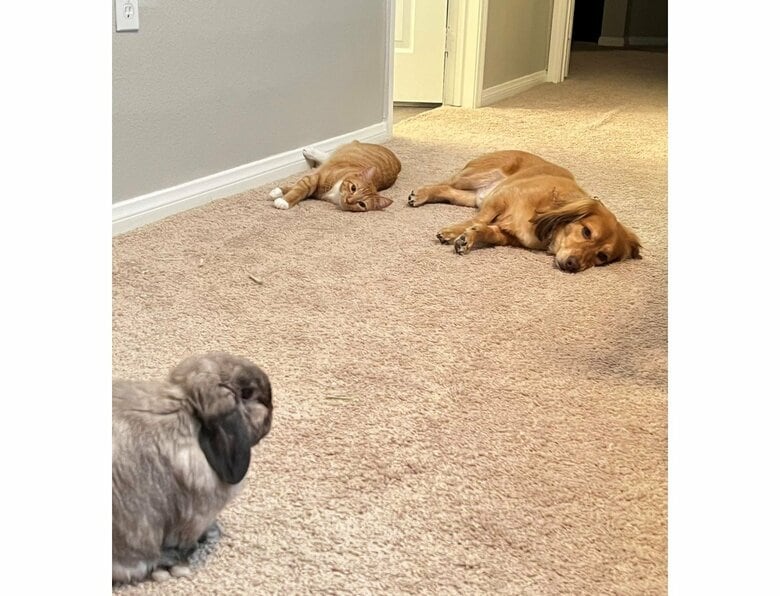 提供：和泉ユタカさん