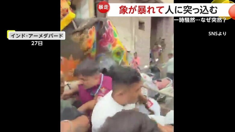 見物していた人たちをめがけて突っ込んでいった象