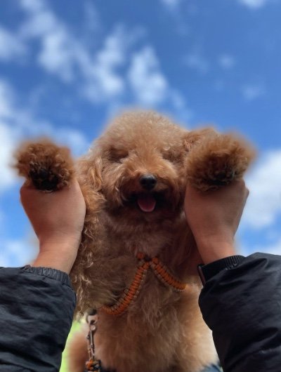 提供：ピン太郎ママさん