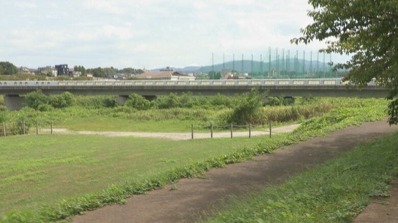 芝生と藪の境界エリア