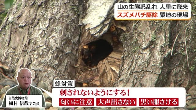 刺されないために…