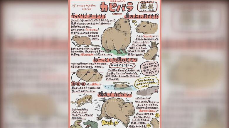 完成した「カピバラ」のイラスト