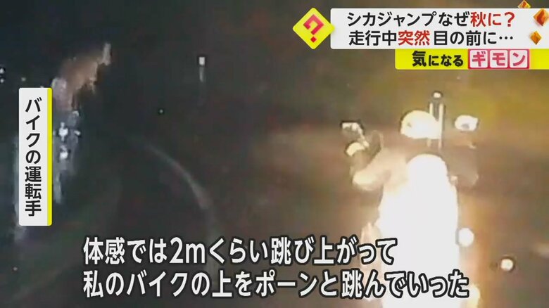 （FNN投稿サイト「ビデオPost」）