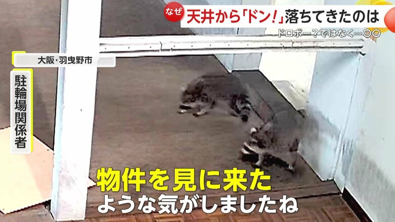 「物件を見に来たような気がしますね」と住まい探しではないかと推測する駐輪場の関係者