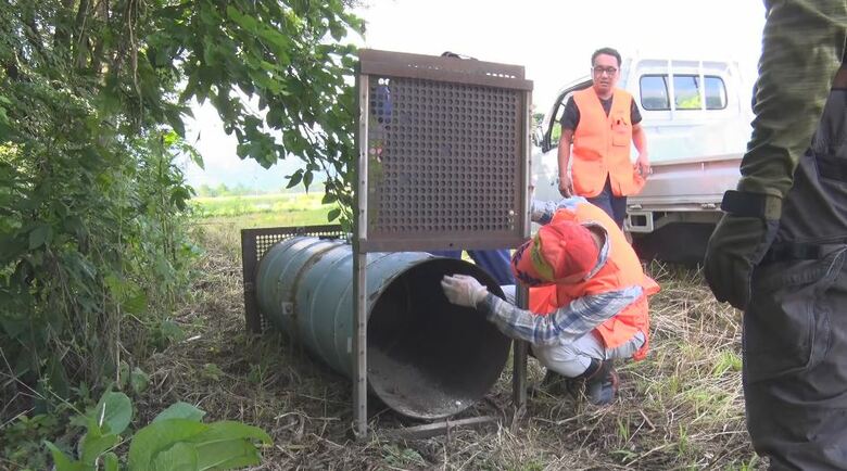 捕獲用のおりを設置